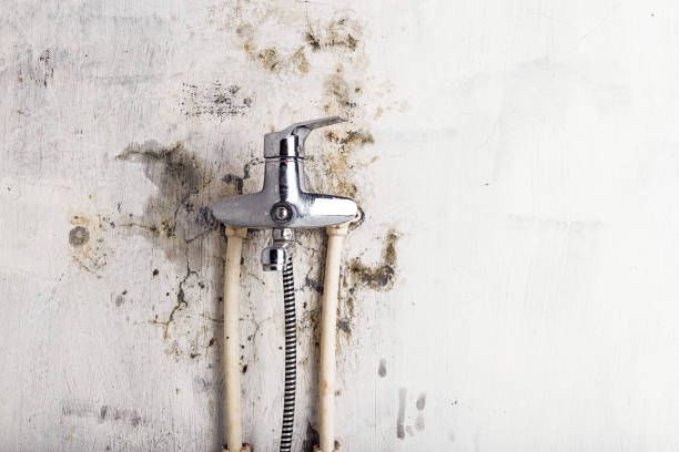  Sayre, OK Mold Removal Pros