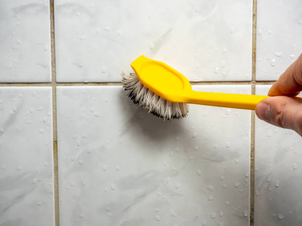 Best Attic Mold Removal  in Sayre, OK