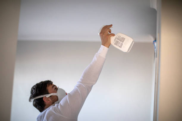 Best Black Mold Removal  in Sayre, OK