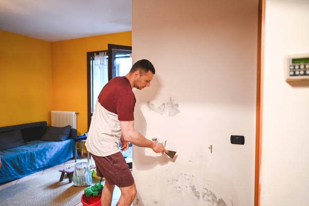 Best Crawl Space Mold Removal  in Sayre, OK