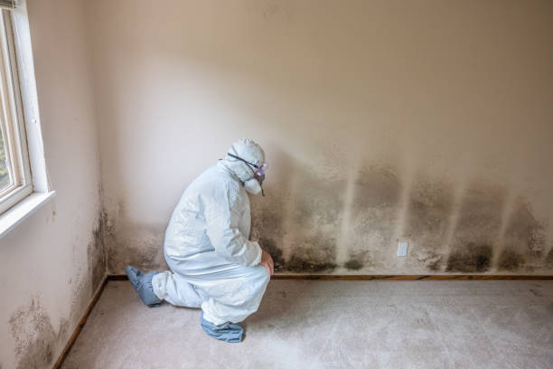 Best Crawl Space Mold Removal  in Sayre, OK